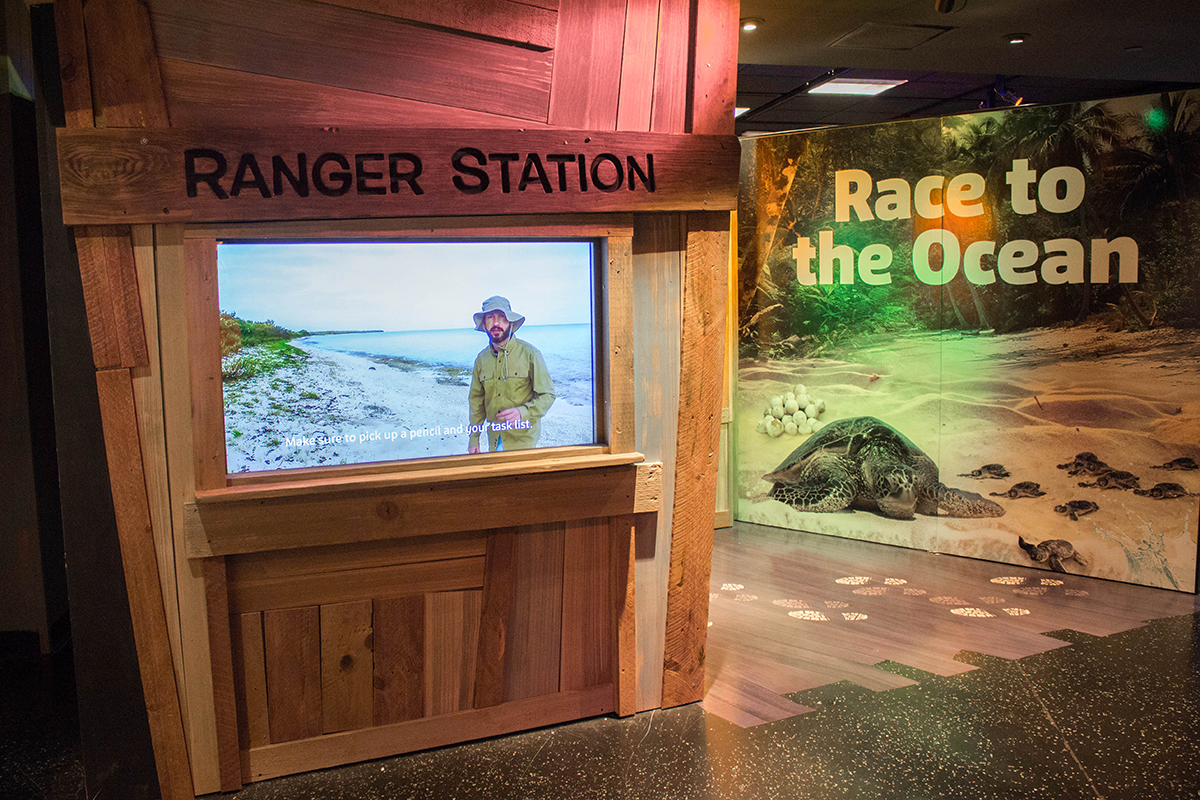 overview of the Ranger Station